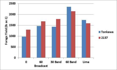 Figure 4. The impact of applying of phosphate fertilizer and lime on the forage production of two winter wheat cultivars in Oklahoma. Chart adapted from Kaitibie et al. 2002.