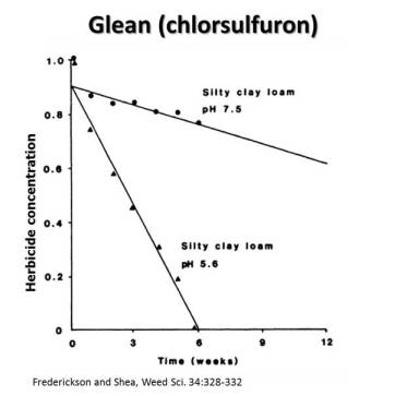 Figure 5. The concentration of Glean (Cholorsulfuron) remaining in too soils (pH 7.5 and pH 5.6) over a twelve week period. 