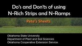 Cover of the first Pete's Sheets produced. 