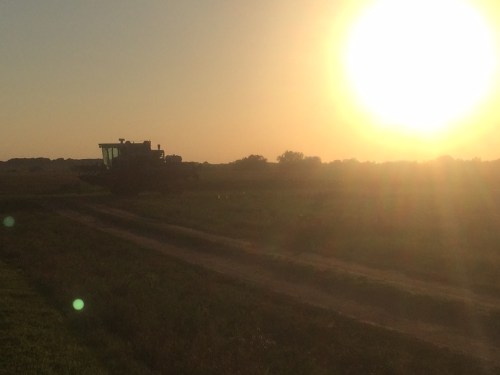 To beat the rains all of us at OSU ran late nights and weekends.