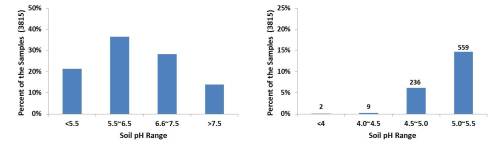 Figures 3 and 4. 1)Range of soil pH levels for all samples submitted to SWFAL in 2013 under the wheat and canola crop codes. 2) Range of soil pH levels for all samples with pH<5.5.