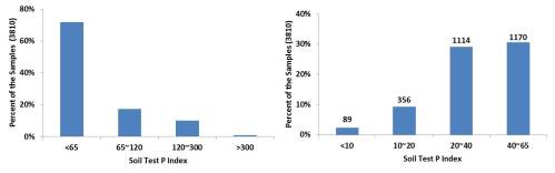 Figures 1 and 2. 1)Range of soil test P levels (Mehlich 3) for all samples submitted to SWFAL in 2013 under the wheat and canola crop codes. 2) Range of Soil Test P level for all samples with STP<65.