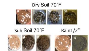 Urea placed on dry soil, Top row: dry soil no water added, Bottom left, moisture added from subsurface, Bottom right : simulated rain fall event of 1/2". White text is the number of hours after application. 