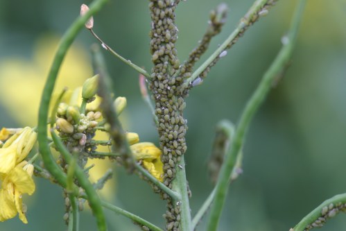 File written with CompuPic(R) - Photodex Corporation (http://www.photodex.com)